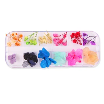 2 коробки для ногтей сухоцветы настоящие прессованные сухоцветы 3D наклейка для ногтей для дизайна ногтей (стиль 2)