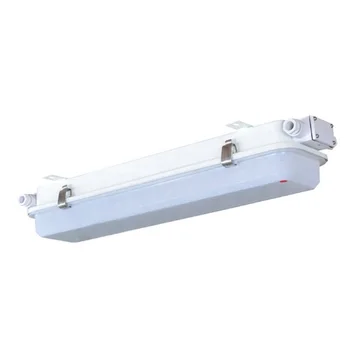 JCY22-2L Аксессуар для морской лодки Флуоресцентный подвесной светильник