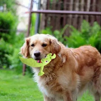 Звуковая стимулирующая игрушка для собак Набор игрушек для собак растительной формы, пищащие жевательные игрушки для маленьких собак Устойчивые к укусам товары для домашних животных со встроенным